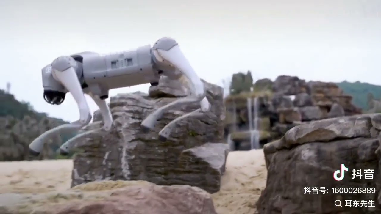 Robot Wolf made in China