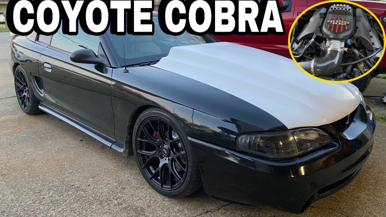 NOT YOUR TYPICAL 97 COBRA! I get to drive a Coyote Swapped Cobra!