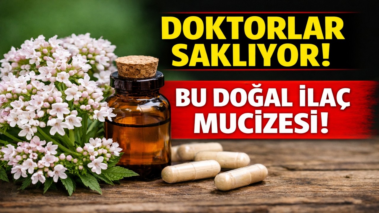 Doktorların SAKLADIĞI En Güçlü DOĞAL SAKİNLEŞTİRİCİ! Stresi ve Uykusuzluğu Unutun!