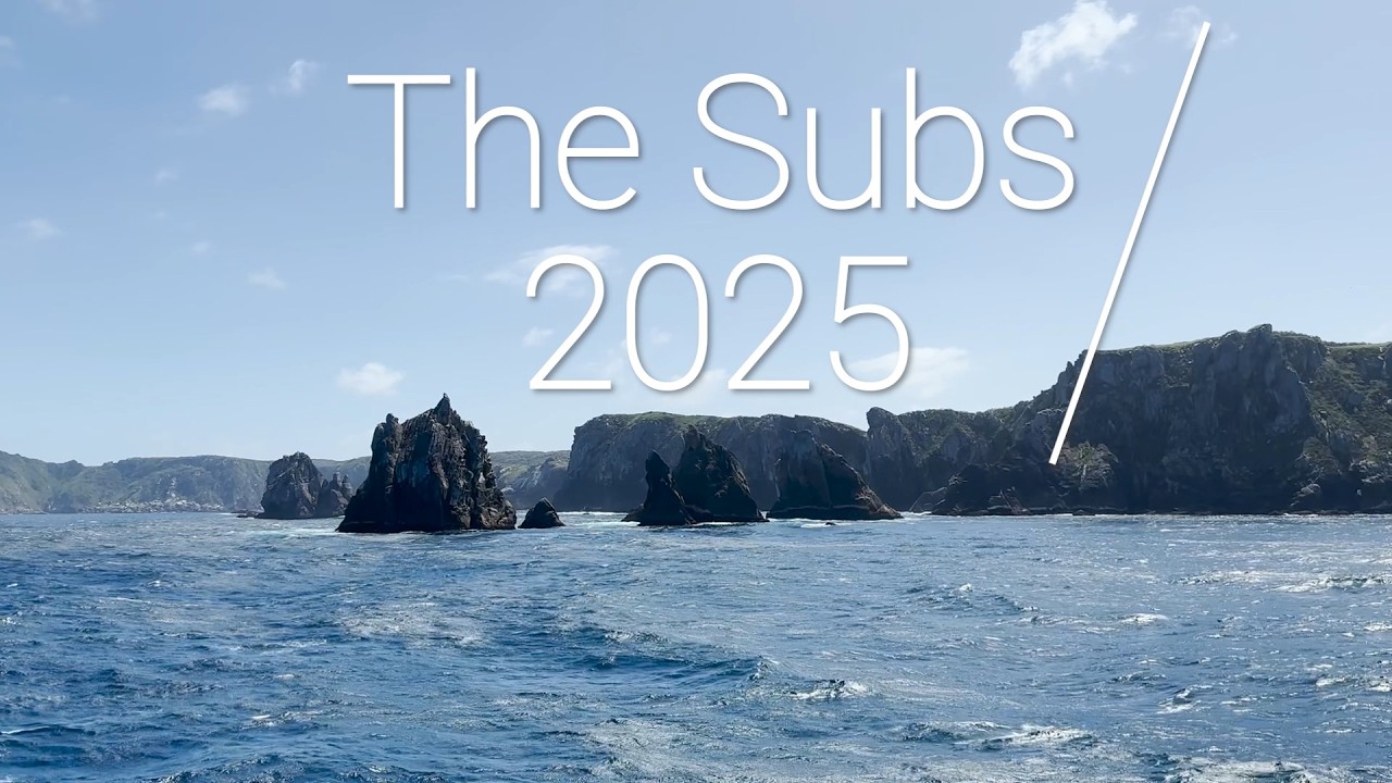 The Subs 2025 &ndash; listopad-grudzień 2025