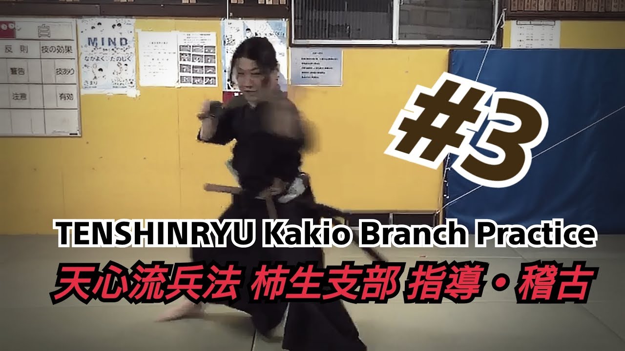 【天心流】柿生支部 指導・稽古風景#3【TENSHINRYU】