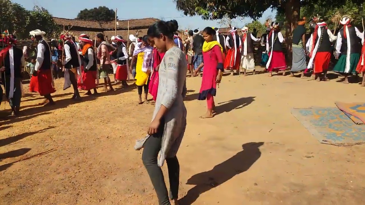कोराचागढ क्षेत्र ग्राम कलवर में पूस कोलांग उत्सव मनाया गया  (छत्तीसगढ़)