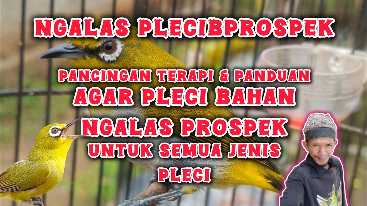 ga perlu lama tinggal putar