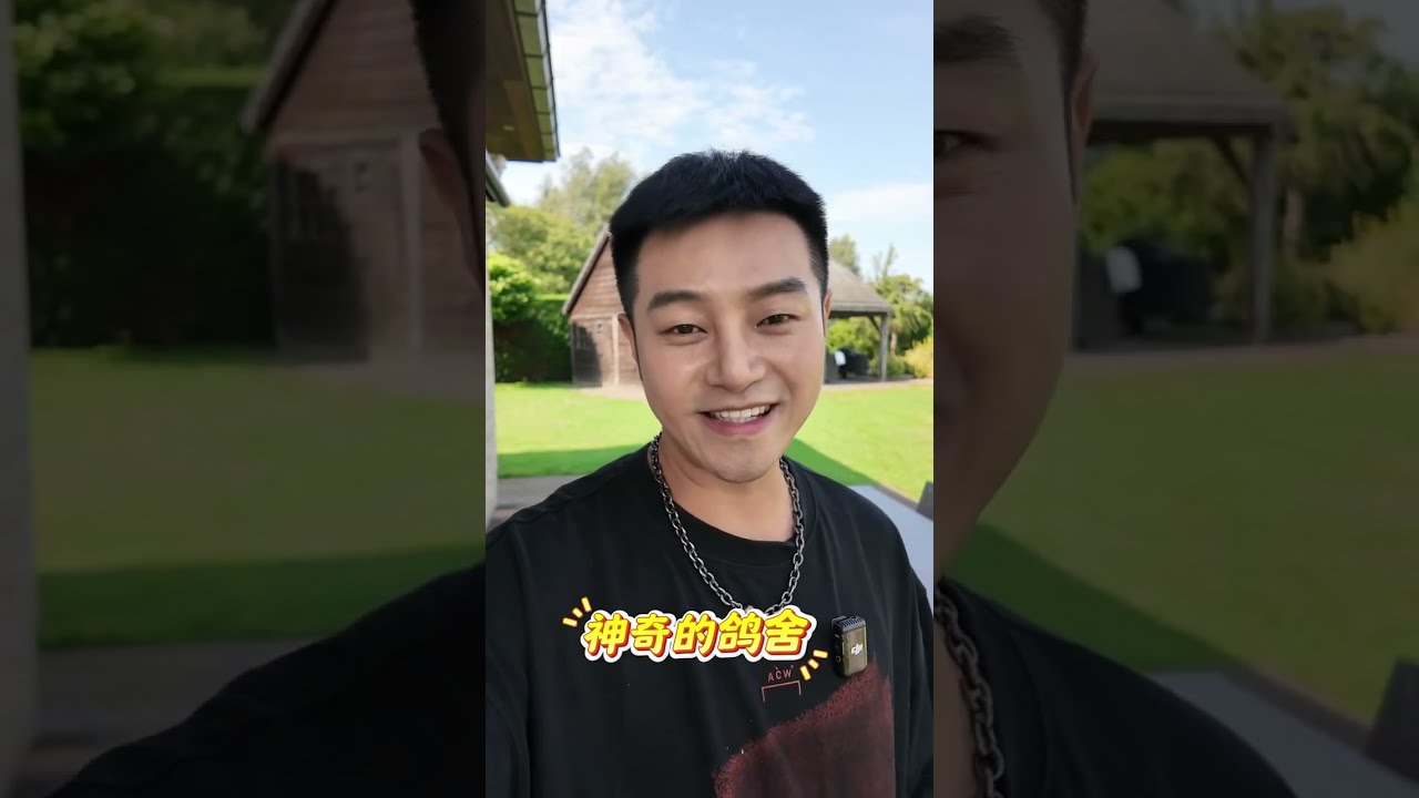 【伊凡·贝腾斯鸽舍专访】 2024年的比利时桑宽国家赛，伊凡·贝腾斯团队斩获9753羽成鸽和12958羽一岁鸽的双料冠军（488.98公里），成为今年唯一也是前所罕见的全国双料冠军！