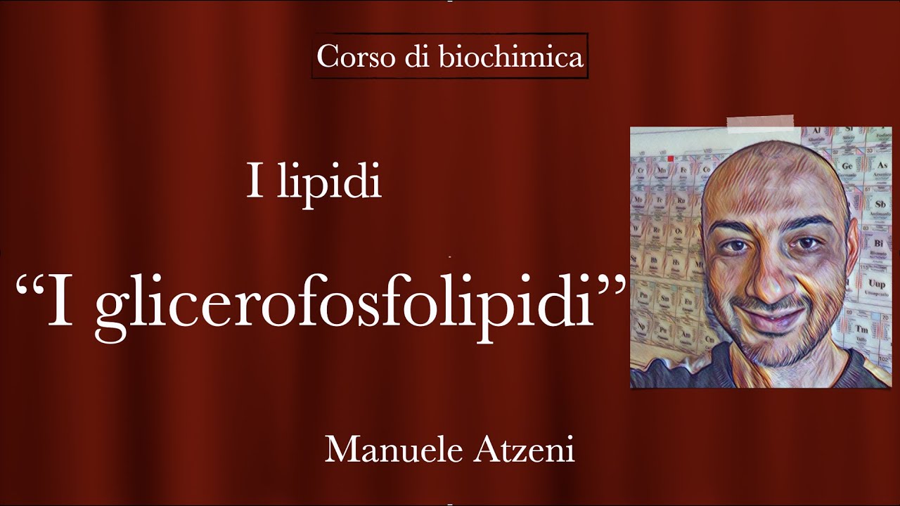 I glicerofosfolipidi (Lezione 49)