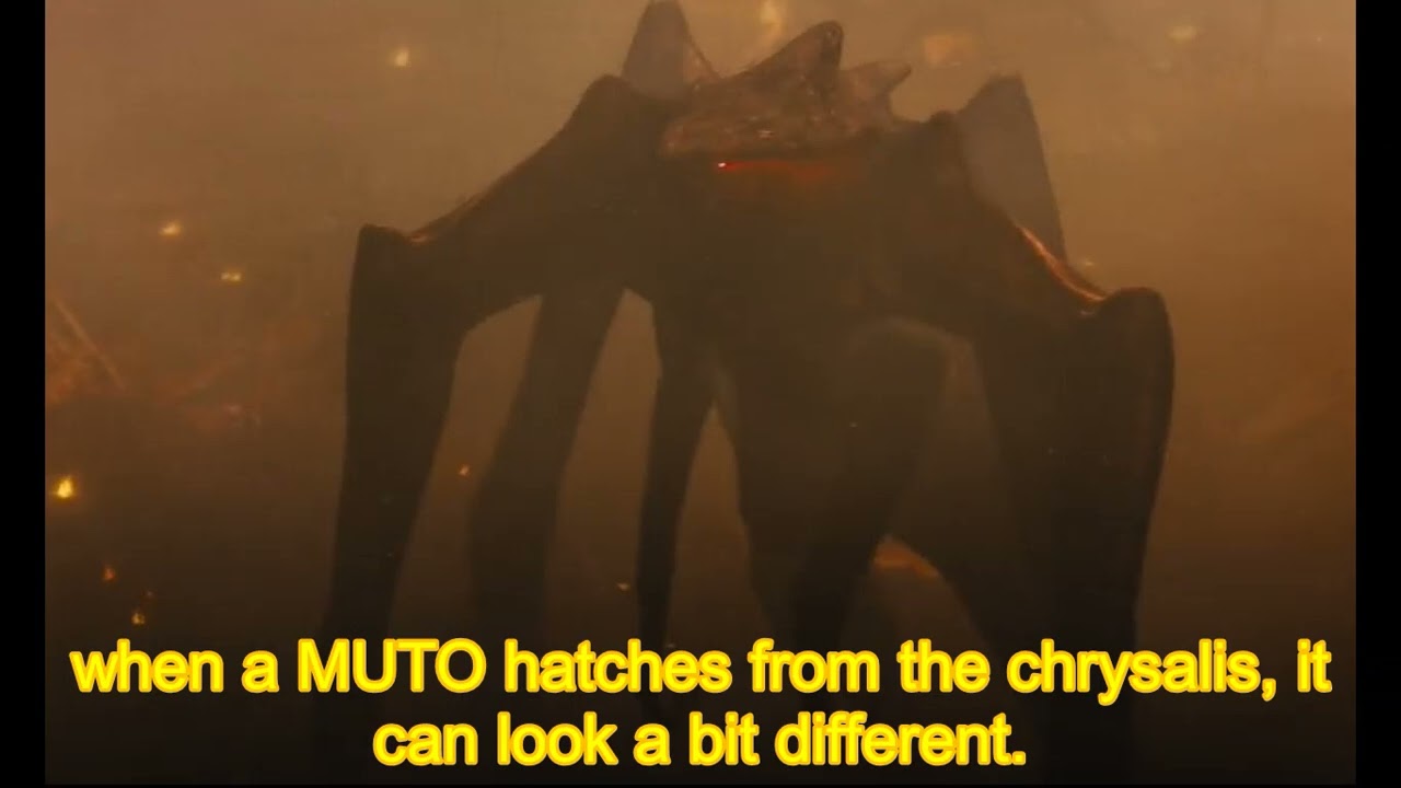 MUTO life cycle explained in 2 minutes 13 seconds