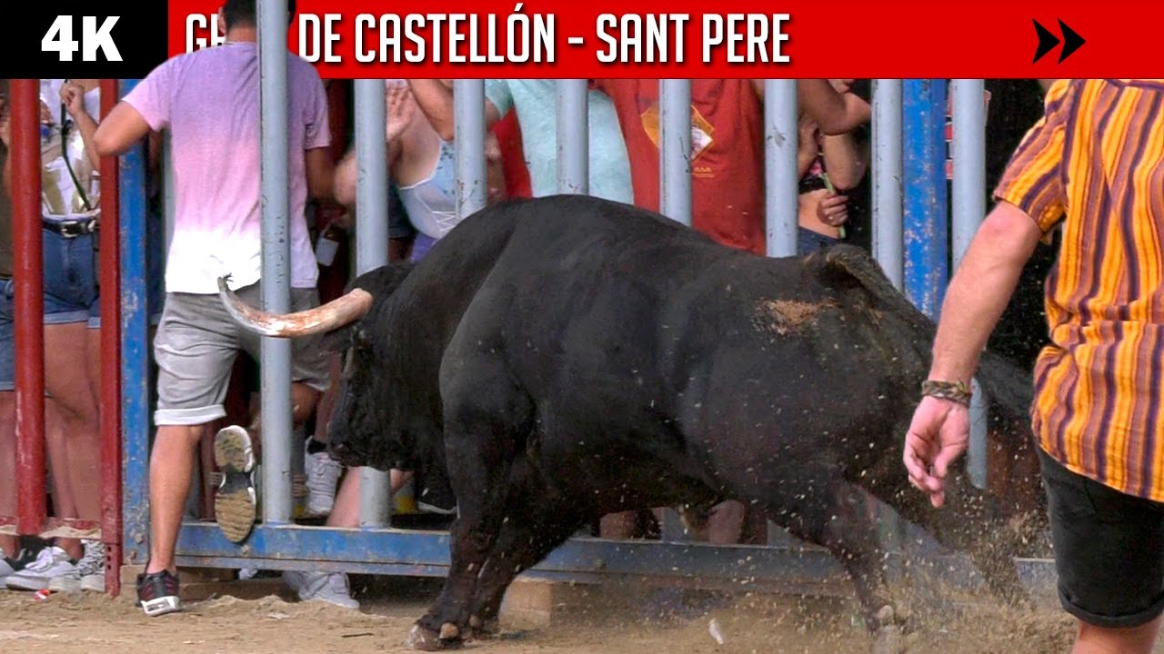 ¡NO TE DESCUIDES! ▪ GRAO DE CASTELLÓN ▪ SANT PERE ▶ Toros bravos de distintas ganaderías