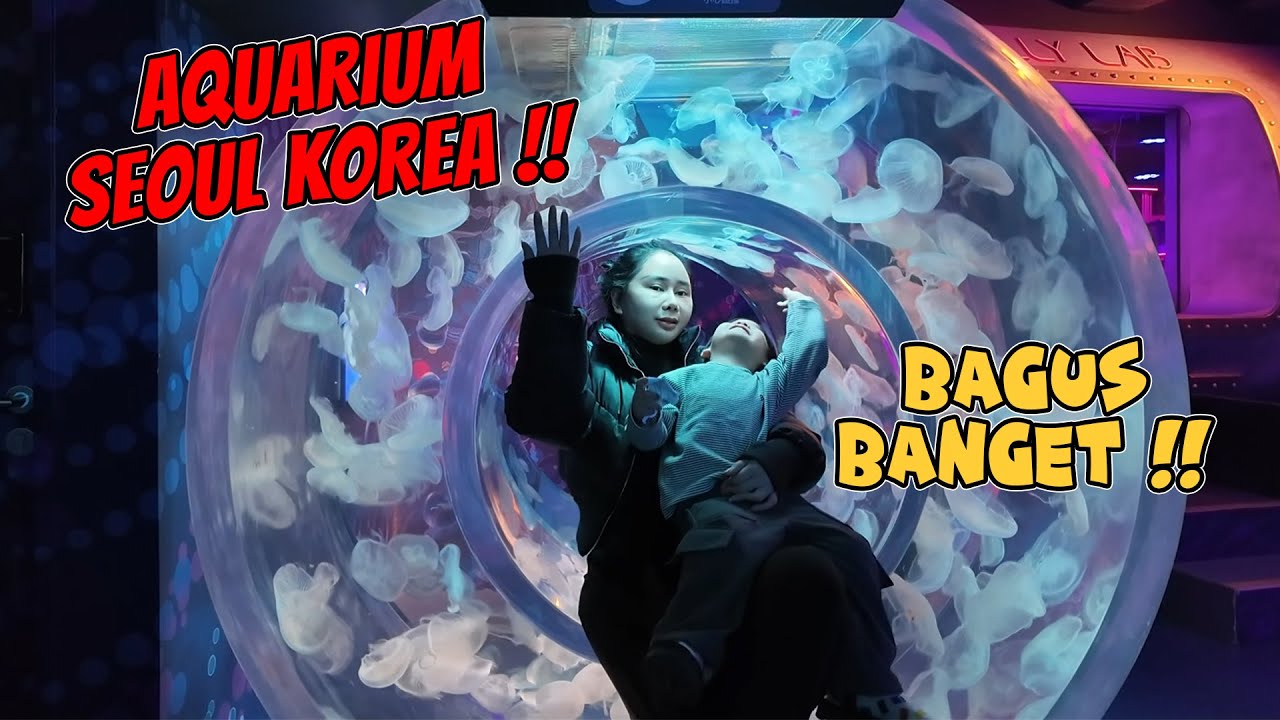 NEMANIN JADEN MAIN DI AQUARIUM KOREA !!