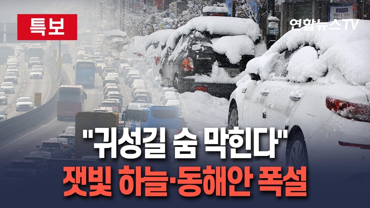 [🔴특보] 