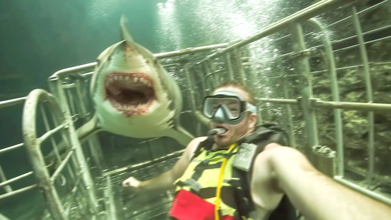 Fans Watch in Horror as Great White Shark Kills Streamer Live on March 1st, 2025