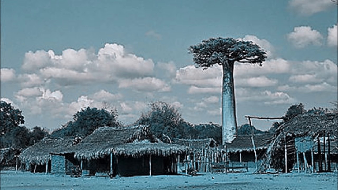 Menabe (Antsa Ny Tromba) - Robols