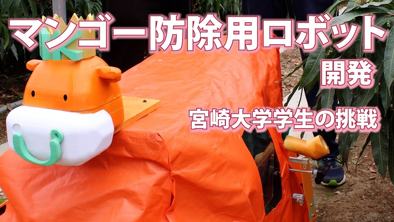 ロボットで役に立ちたい！　宮崎大学生コンビがマンゴー防除用開発　（宮崎市）