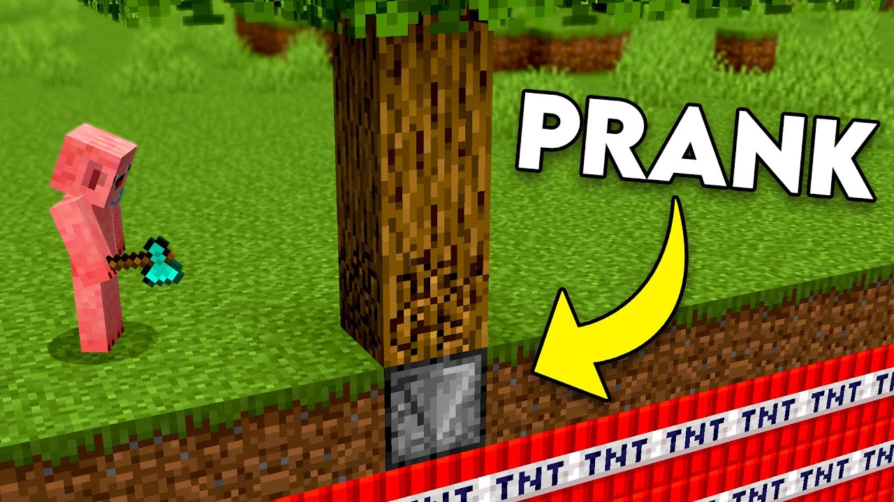 20 NAJLEPSZYCH PRANK&Oacute;W w Minecraft!