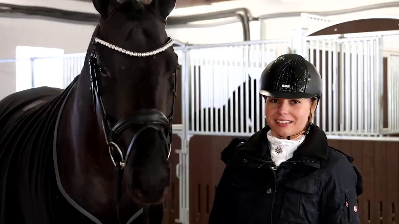 Digitale Trakehner Hengstschau: Kwahu