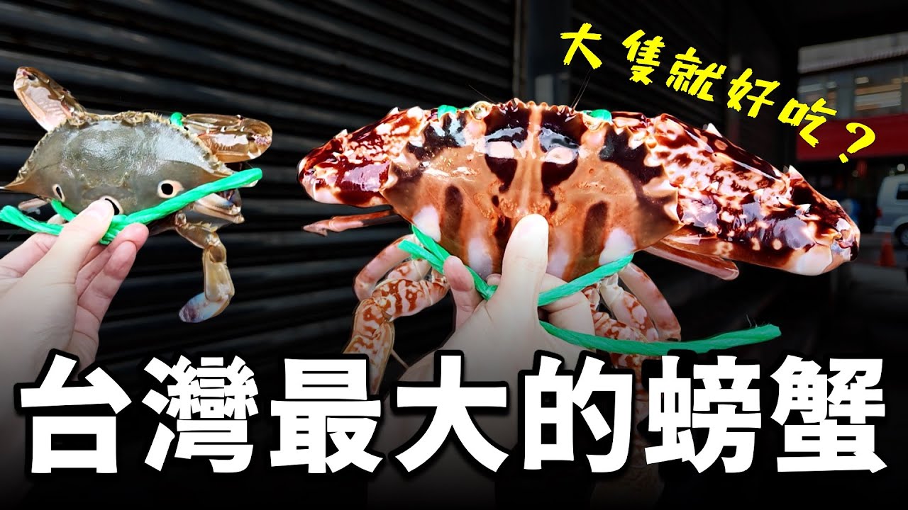 在龜吼漁港找到台灣最大隻的螃蟹！你猜猜他多少錢？ 口感除了「爽」之外，我沒有更多形容詞！