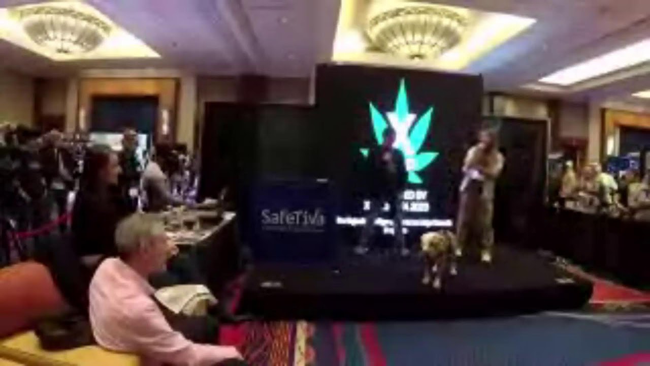 Still Toking With and XpoCanna presents X CUP CANNABIS COMPETITION