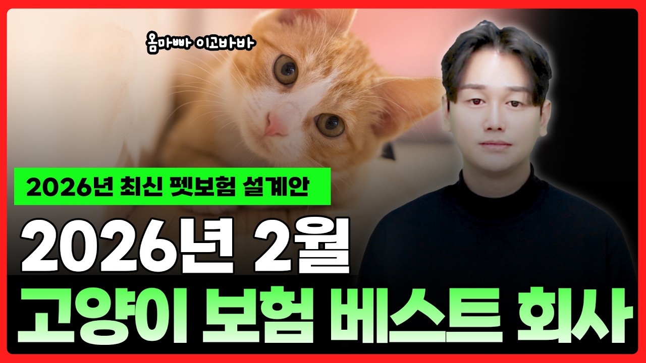 고양이펫보험 초반 보험료 싸다고 가입했다가 후회하는 이유, 알고 계셨나요