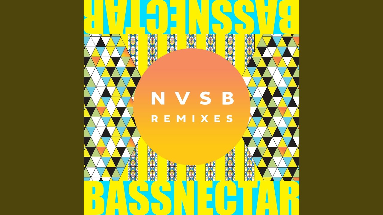 Fire (Bassnectar Remix)