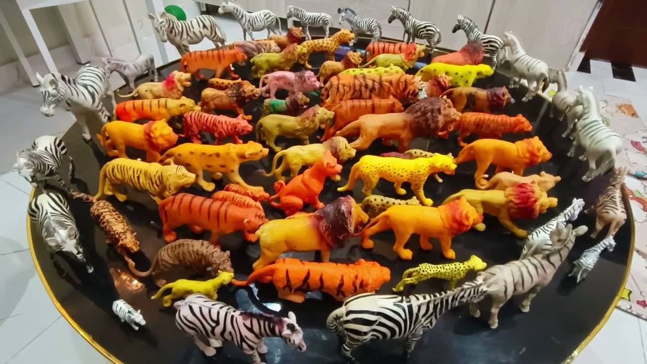 Animal toys collection Relaxing videos 