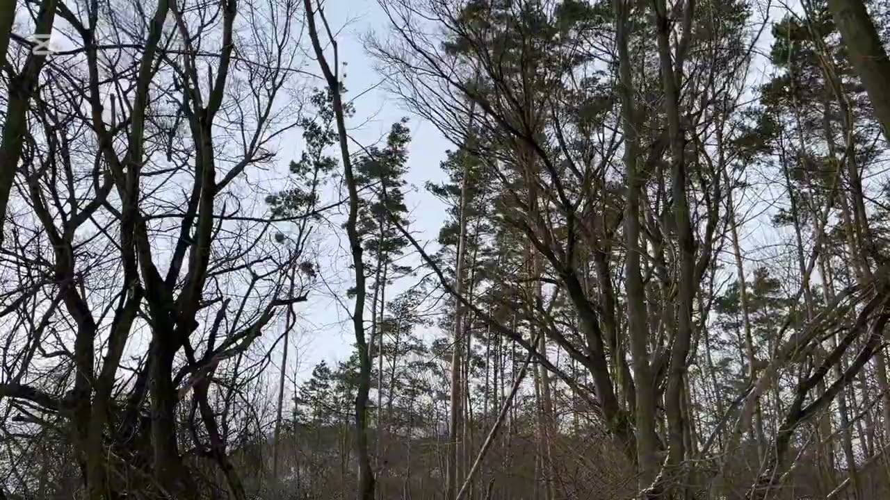 Silný vítr (1.1.2026) Litoměřicko.