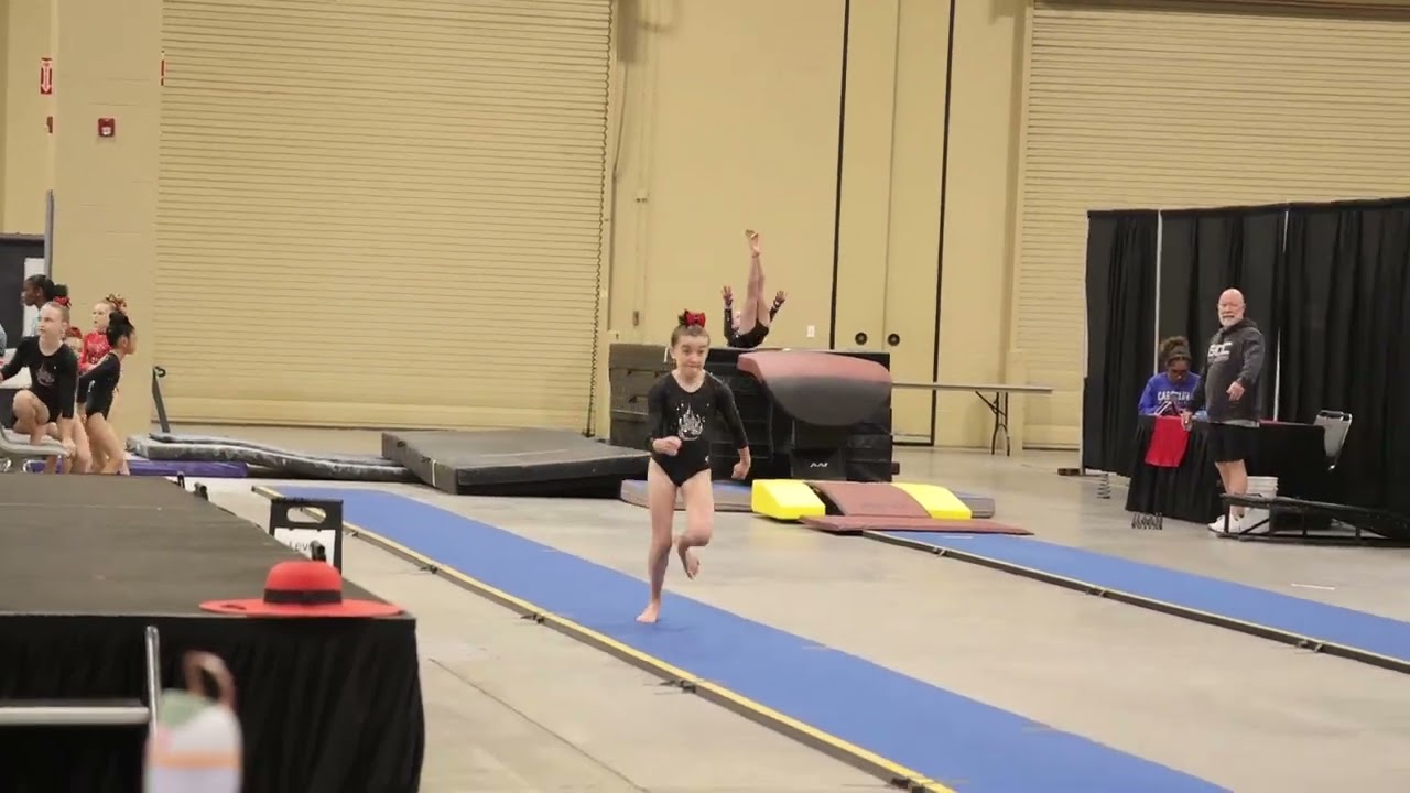 Amitis Stoll 1st Vault 95 Charleston Cup 2026 Wildfire Gymnast Level 6