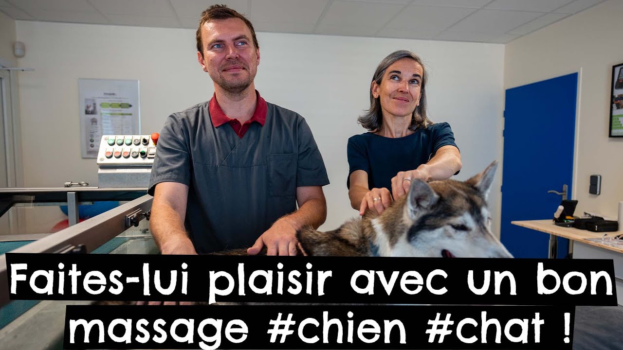 Faites-lui plaisir avec un bon massage 