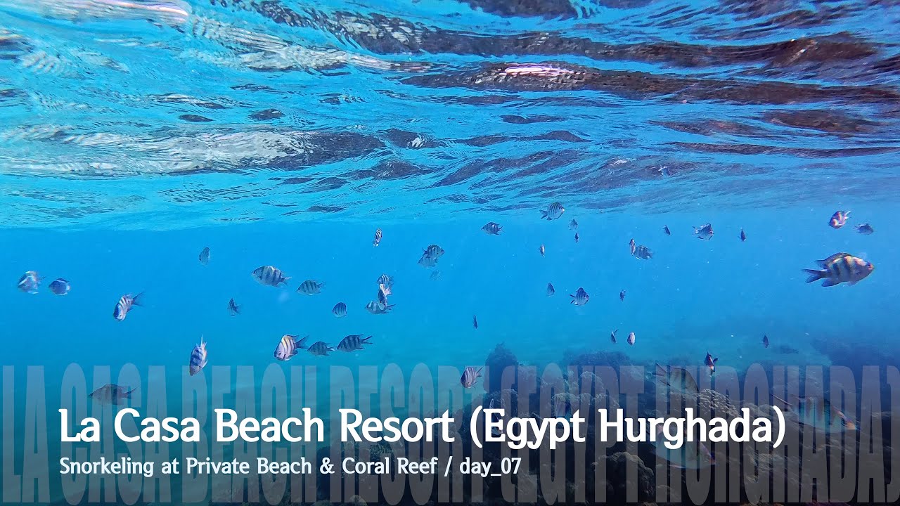 [4K] Egypt Hurghada - La Casa Beach Resort / Snorkeling at Private Beach & Coral Reef / day_07