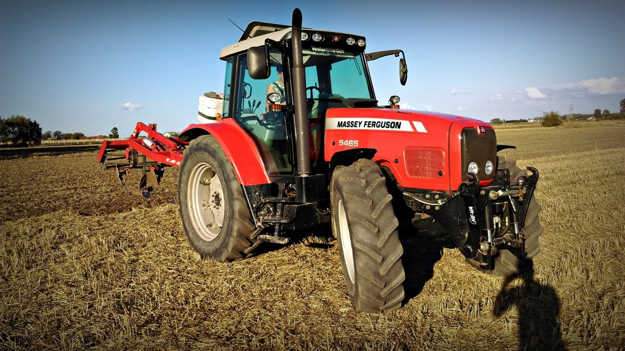 WBITA NA POLE#12 Massey Ferguson 5465 akcja gruberowanie !