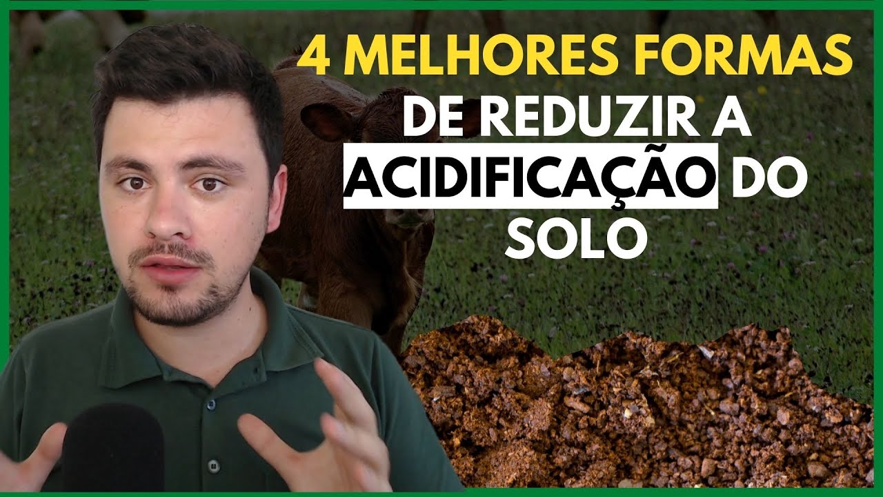 4 melhores formas de reduzir a ACIDIFICAÇÃO do solo