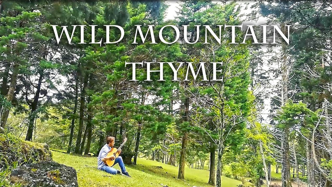 Wild Mountain Thyme -  Celtic Fingerstyle - CGDGCD