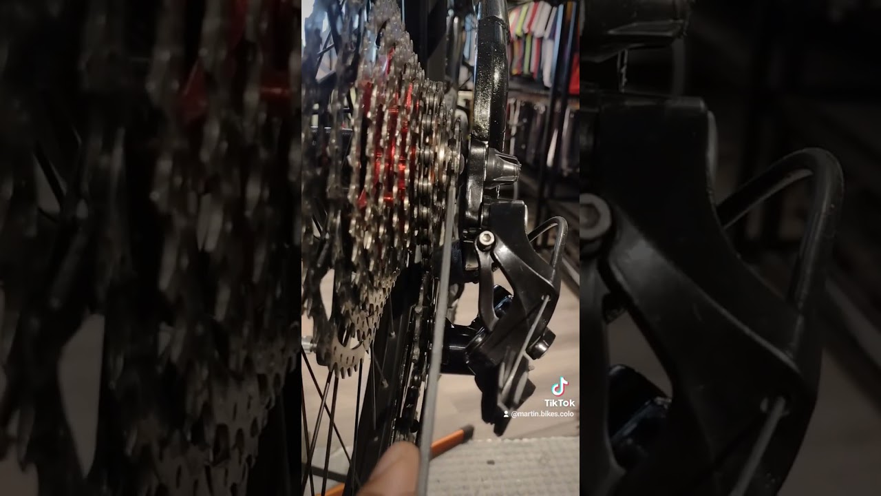 Para Que Sirven Los Tornillos Que Tenemos En La Parte Trasera De Nuestro Tensor De Cambios