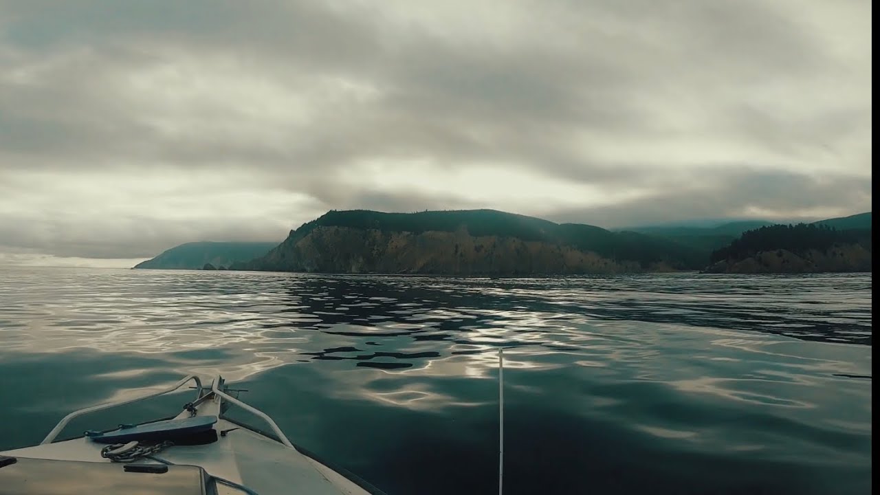 Kingfish in Nelson Bays - Spearfishing in New Zealand