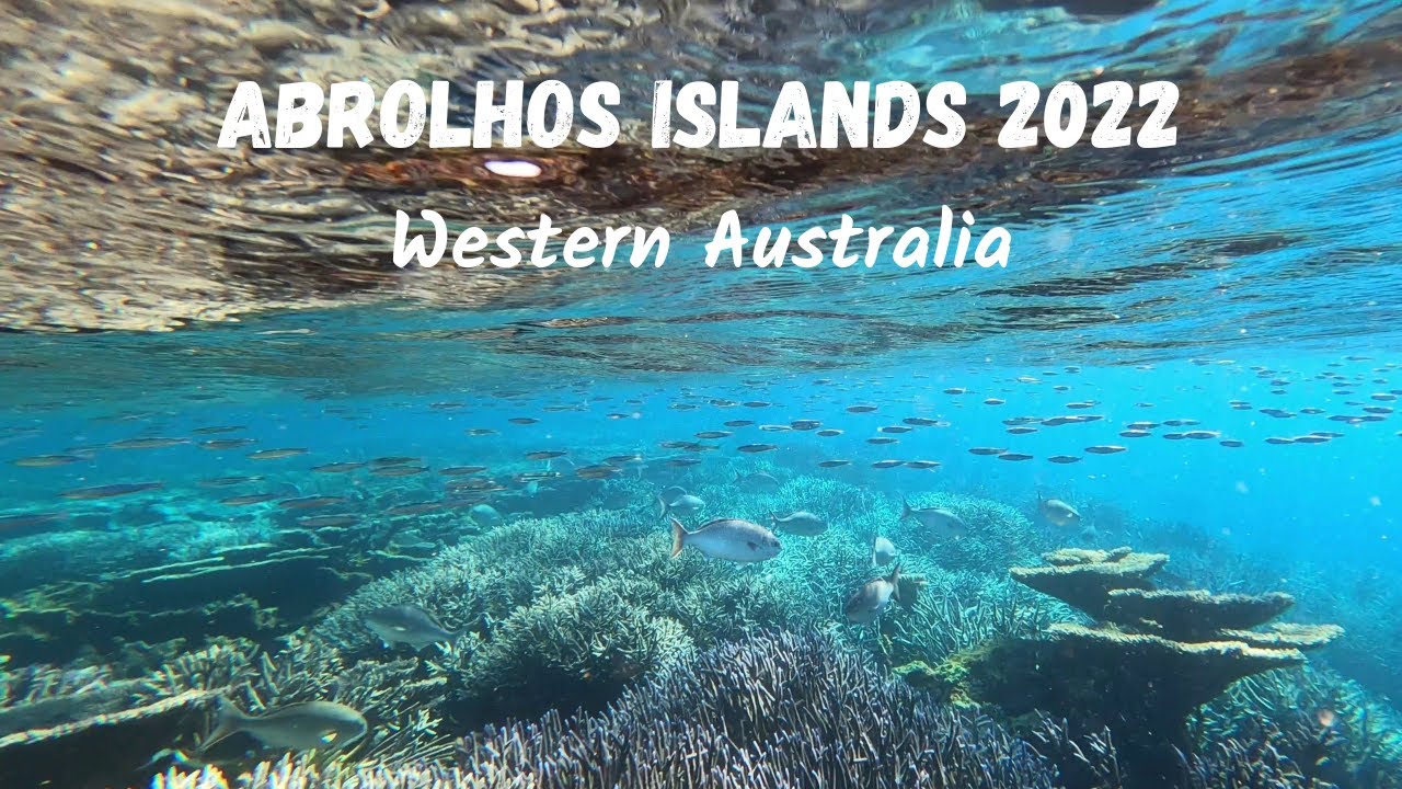 Abrolhos Island 2022