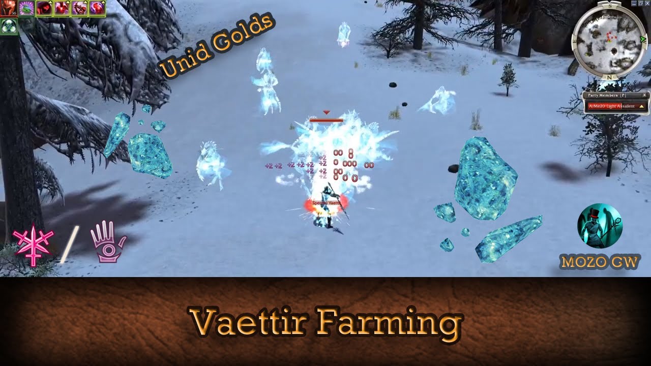 Vaettir Farm - Guild Wars Assassin Farm A/Me - HM