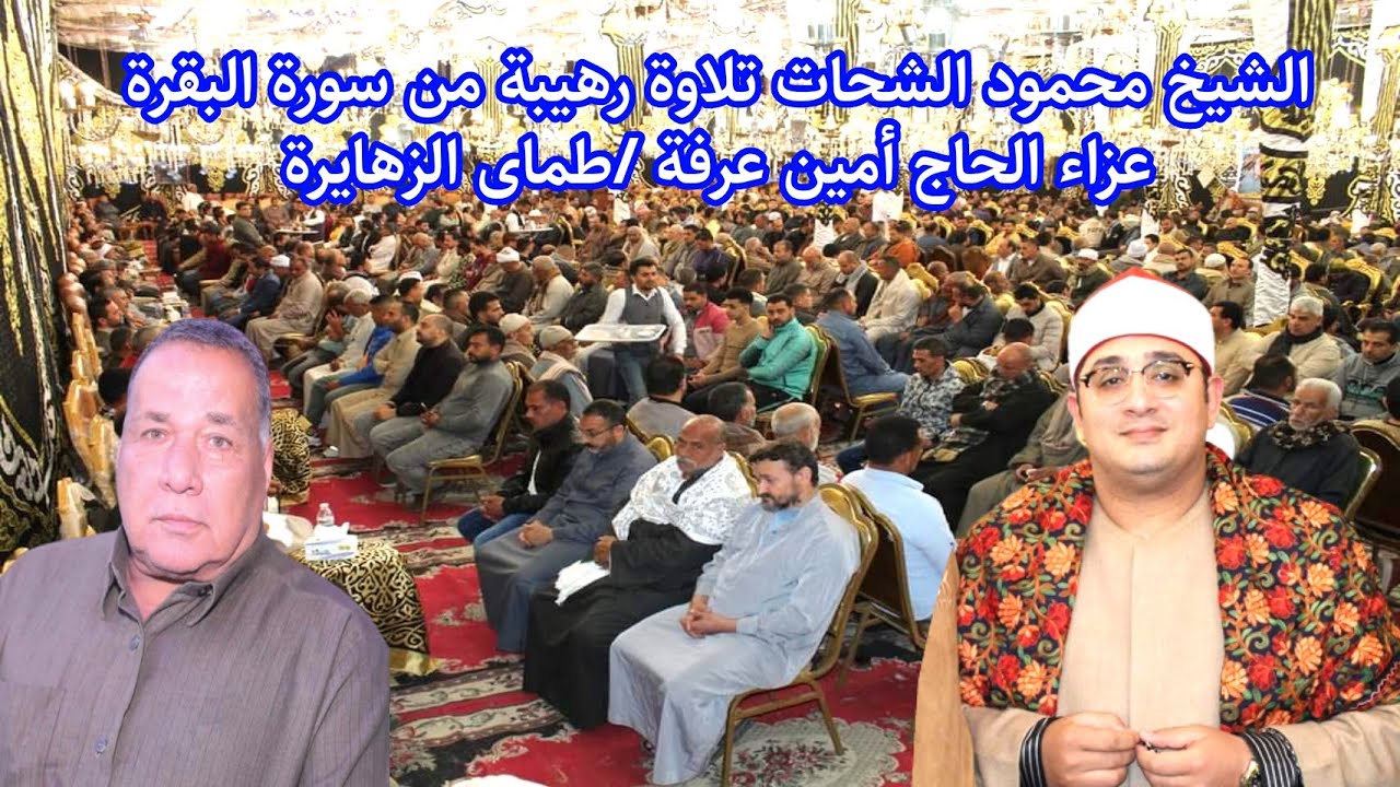 تلاوة لم تحدث من عشرات السنين للشيخ محمود الشحات سورة البقرة عزاء الحاج أمين عرفه/طماى الزهايرة 2023