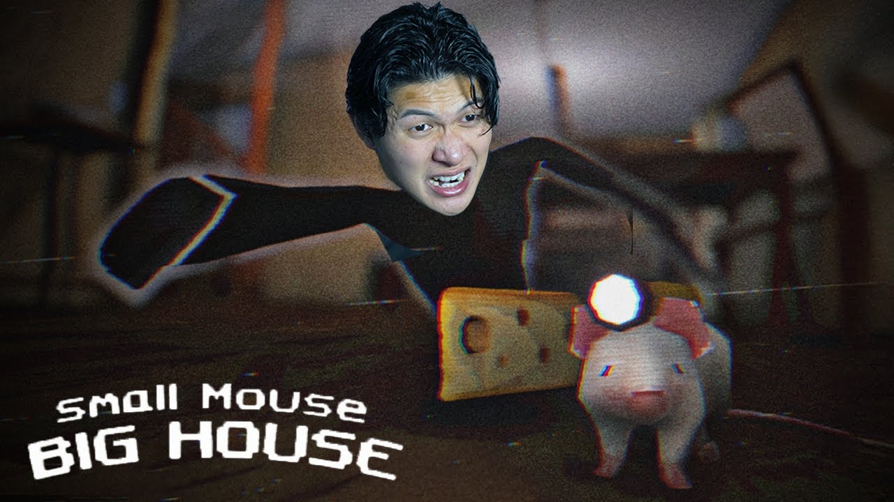 Small Mouse Big House