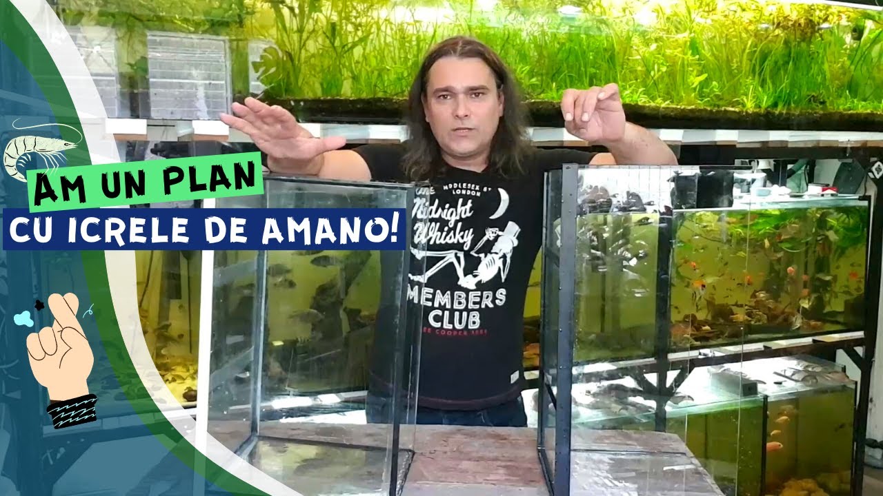 Proiectul Amano - partea intai