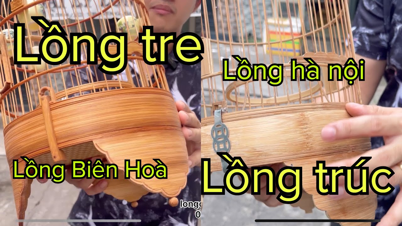 Cách phân biệt tre, trúc - Giới thiệu những mẫu lồng khuyên - lồng chim Vũ Minh