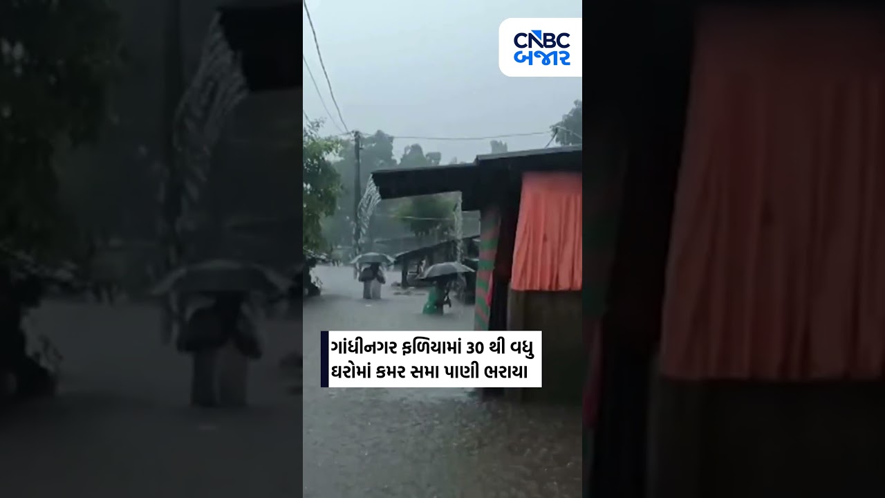 Navsari Rain | Heavy Rain in Gujarat | Monsoon Season | Water Logging in Navsari | Business | WATCH