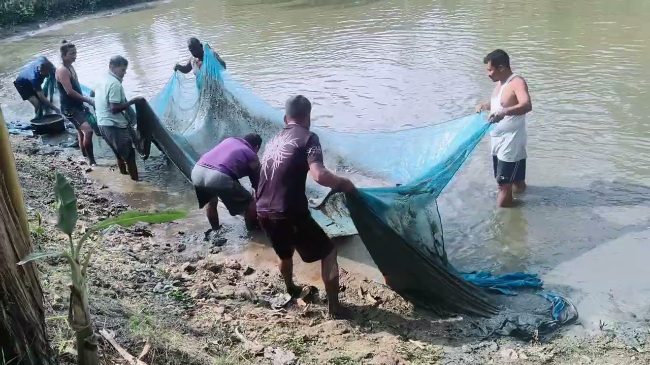 Kokilachuk villagers fishing by net in home fishari