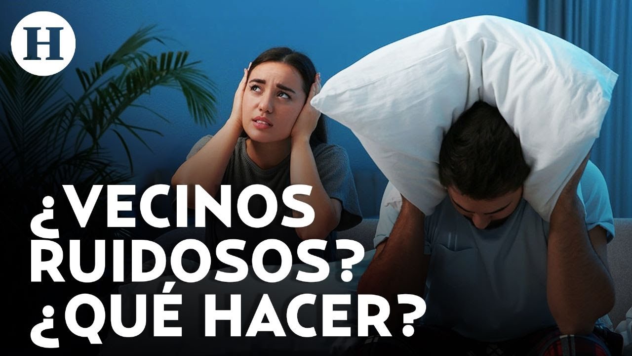 Procuradora Social explica cómo denunciar al vecino escandaloso en CDMX: Cultura de Convivencia