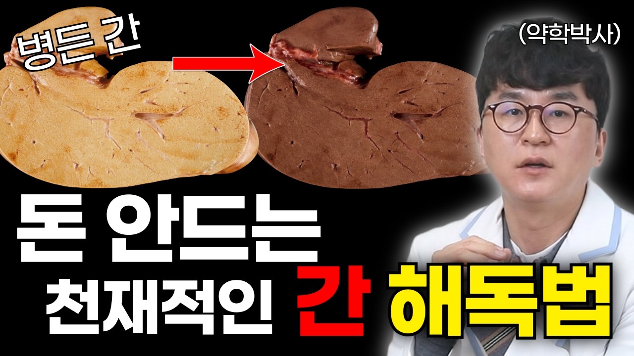 간이 안 좋으면 영양제 끊고 '이것'만 하세요. 지방간 싹 사라지는 기적의 2주 루틴 (돈 안 드는 간 청소)