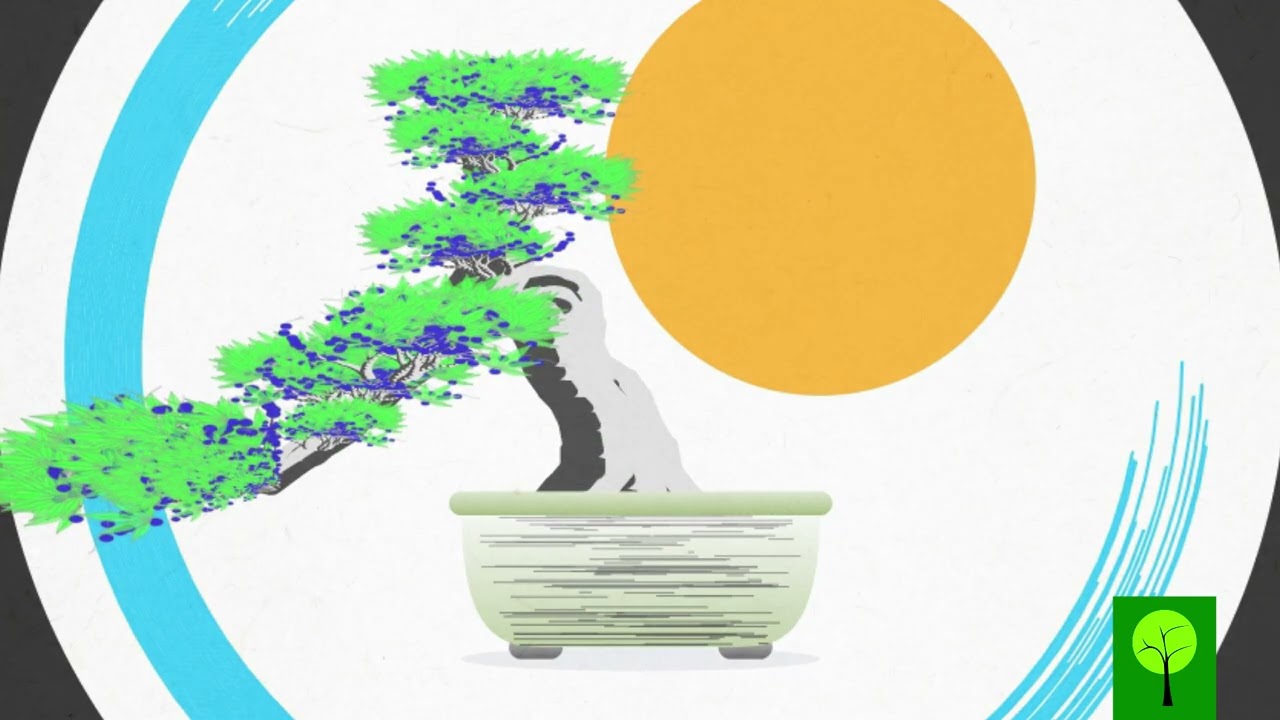 CardanoTrees - CT Bonsai Collection / Shiny Style
