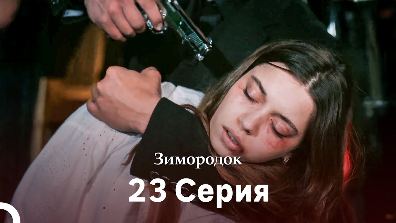 Зимородок 23 Cерия (Русский дубляж)(Длинная Cекция)