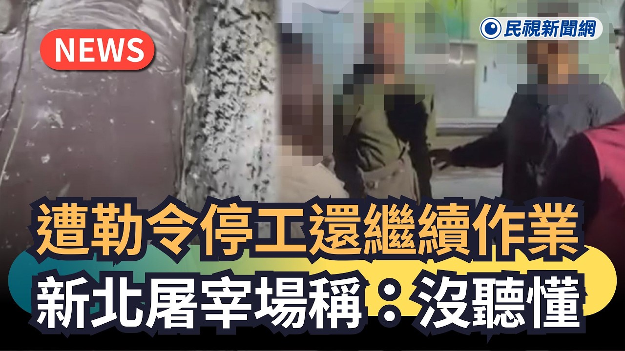 發燒新聞／遭勒令停工還繼續作業　新北屠宰場稱：沒聽懂｜民視新聞｜