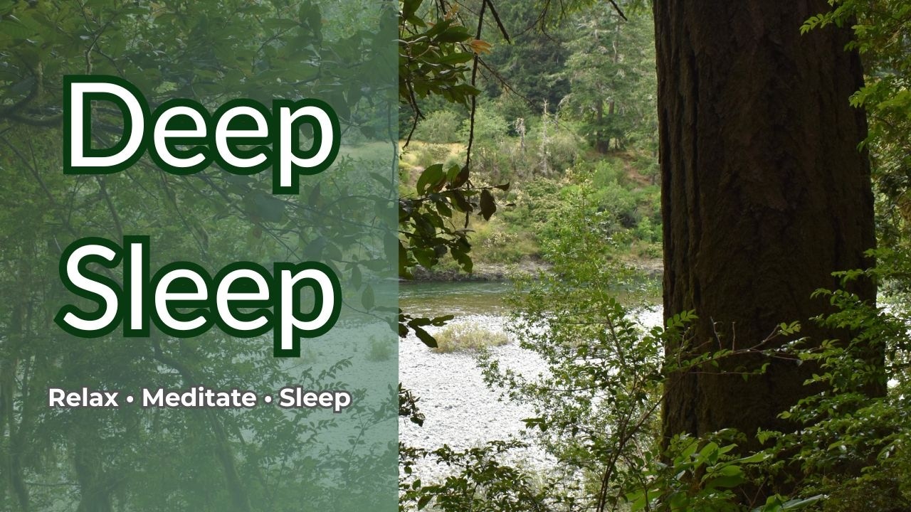 Relaxing Redwoods Stream Sounds (58 Minutes) 🌲 | Deep Sleep & Stress Relief