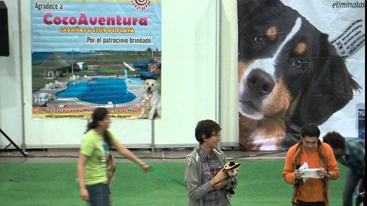 CocoAventura premiacion de patrocinadores al evento canino
