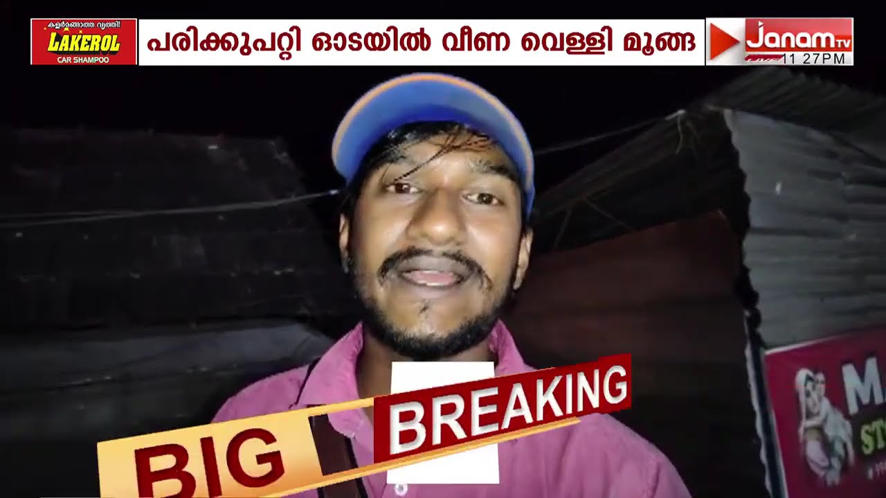 വെള്ളിമൂങ്ങ ഓടയിൽ; രക്ഷകരായി ഓമല്ലൂർ സ്വദേശി ഗോകുൽ രാജും സുഹൃത്തും
