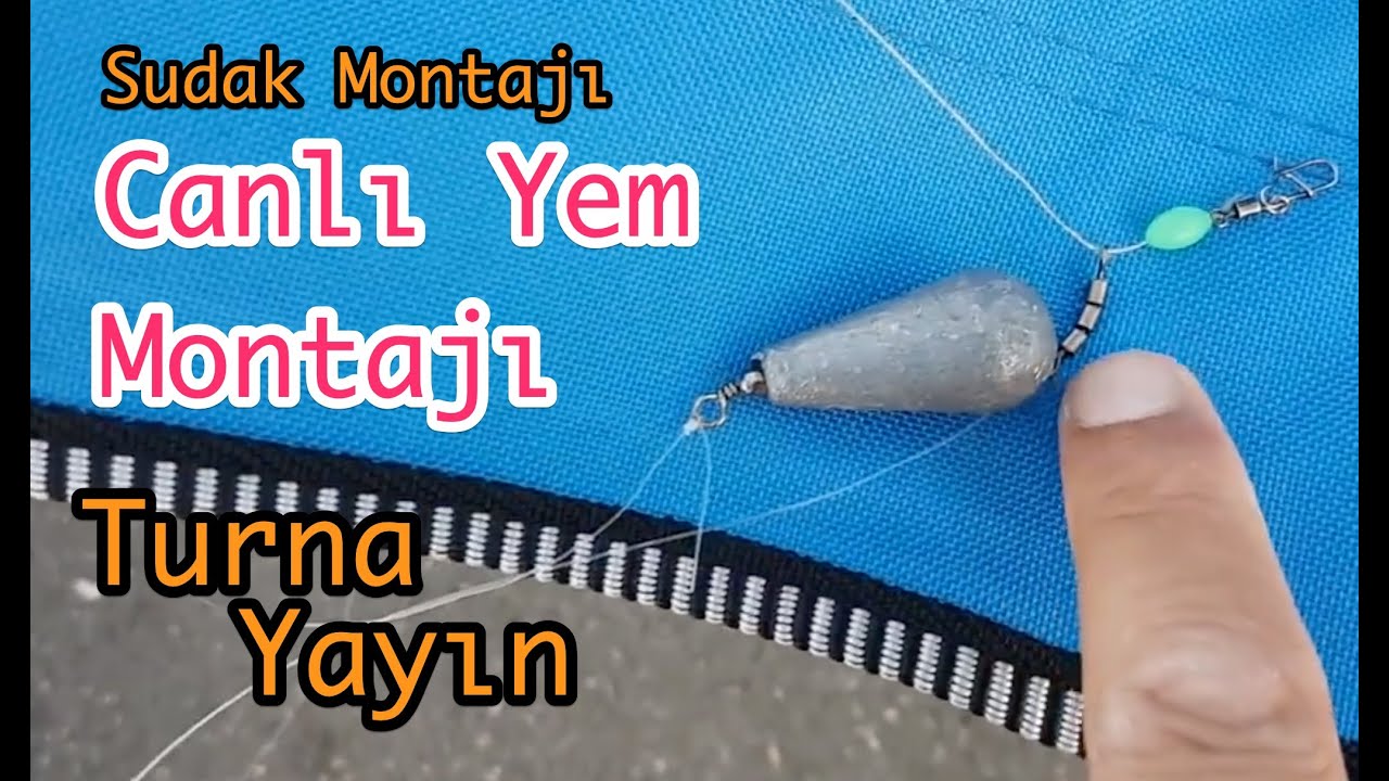 Canlı Yem ile Balık avı için Takım Montajı ve Birçok detaylı bilgi