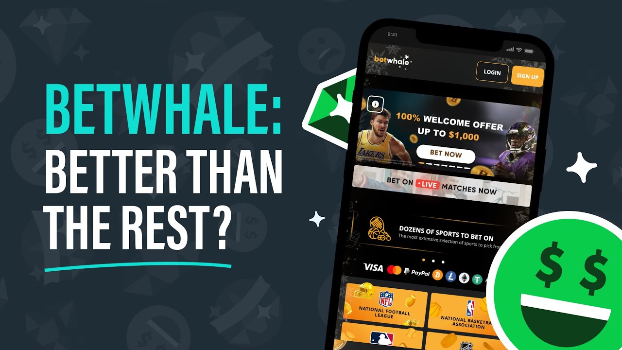 BetWhale Casino Review 2026 | Jackpot Meter Score
